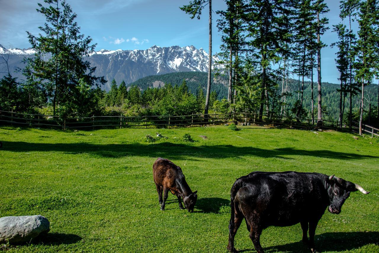 Sweetwater Lane Farm Villa Mount Currie Exteriör bild