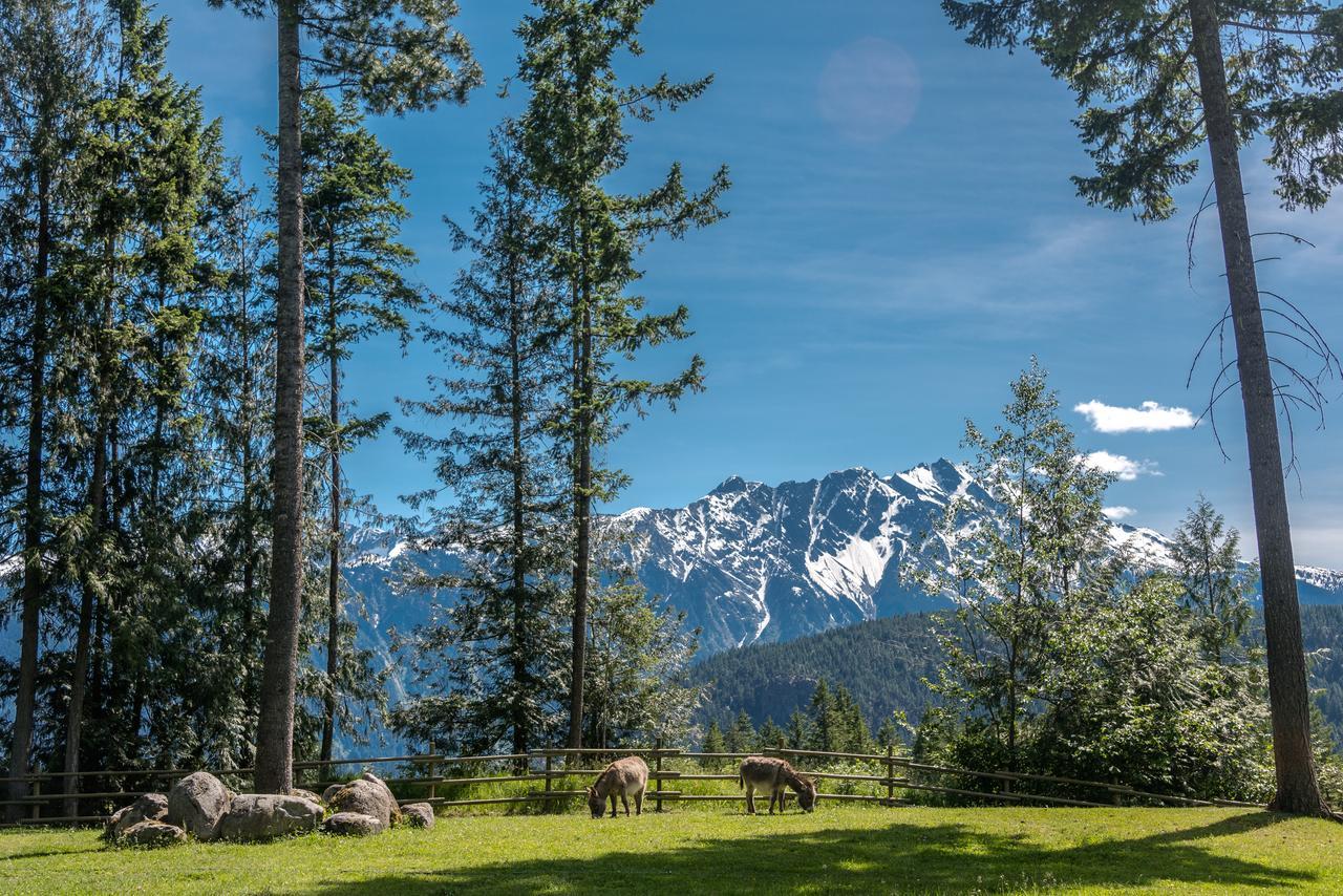 Sweetwater Lane Farm Villa Mount Currie Exteriör bild