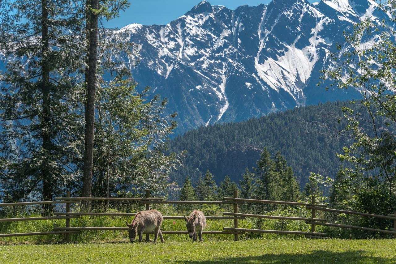 Sweetwater Lane Farm Villa Mount Currie Exteriör bild