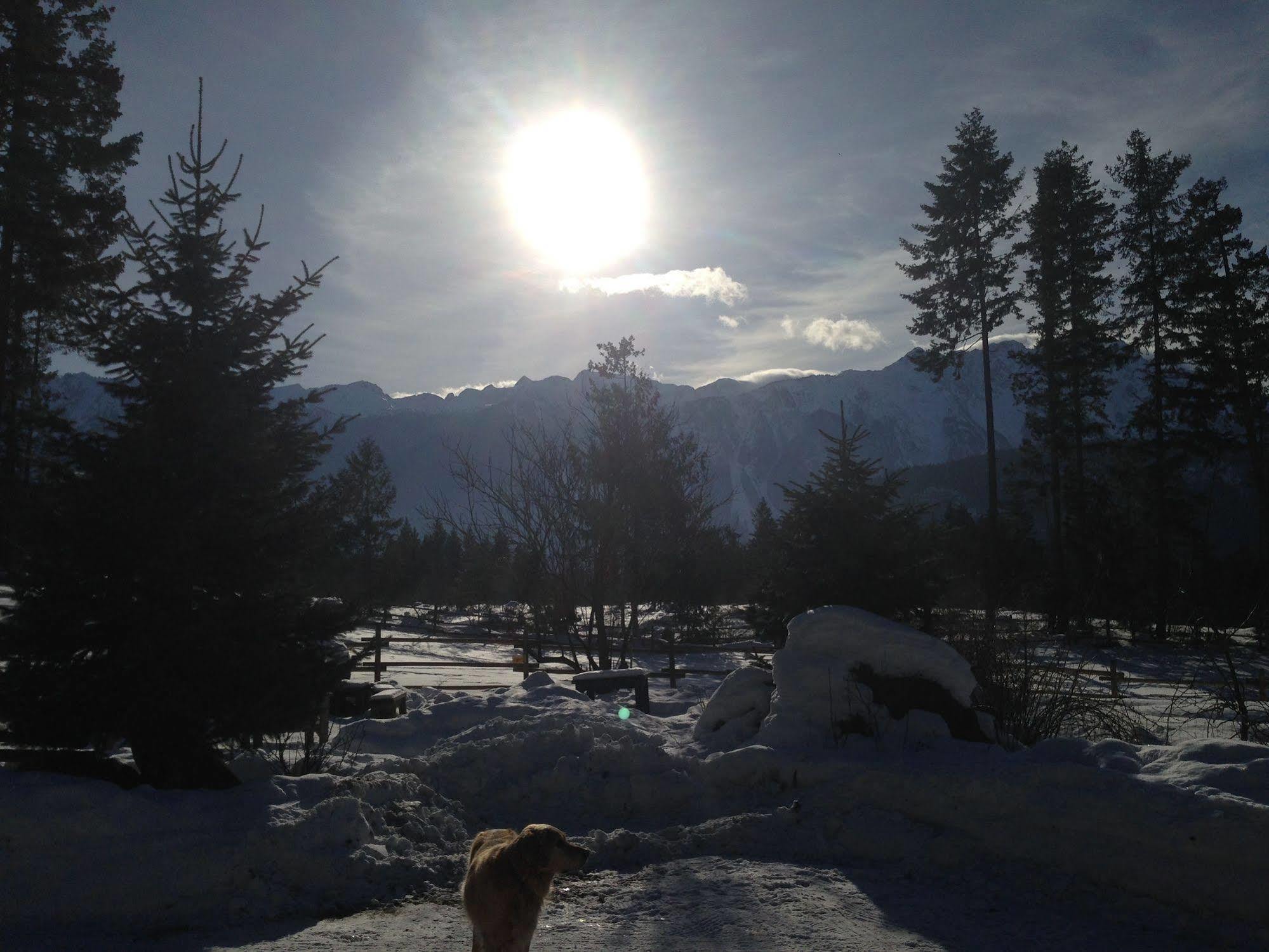 Sweetwater Lane Farm Villa Mount Currie Exteriör bild