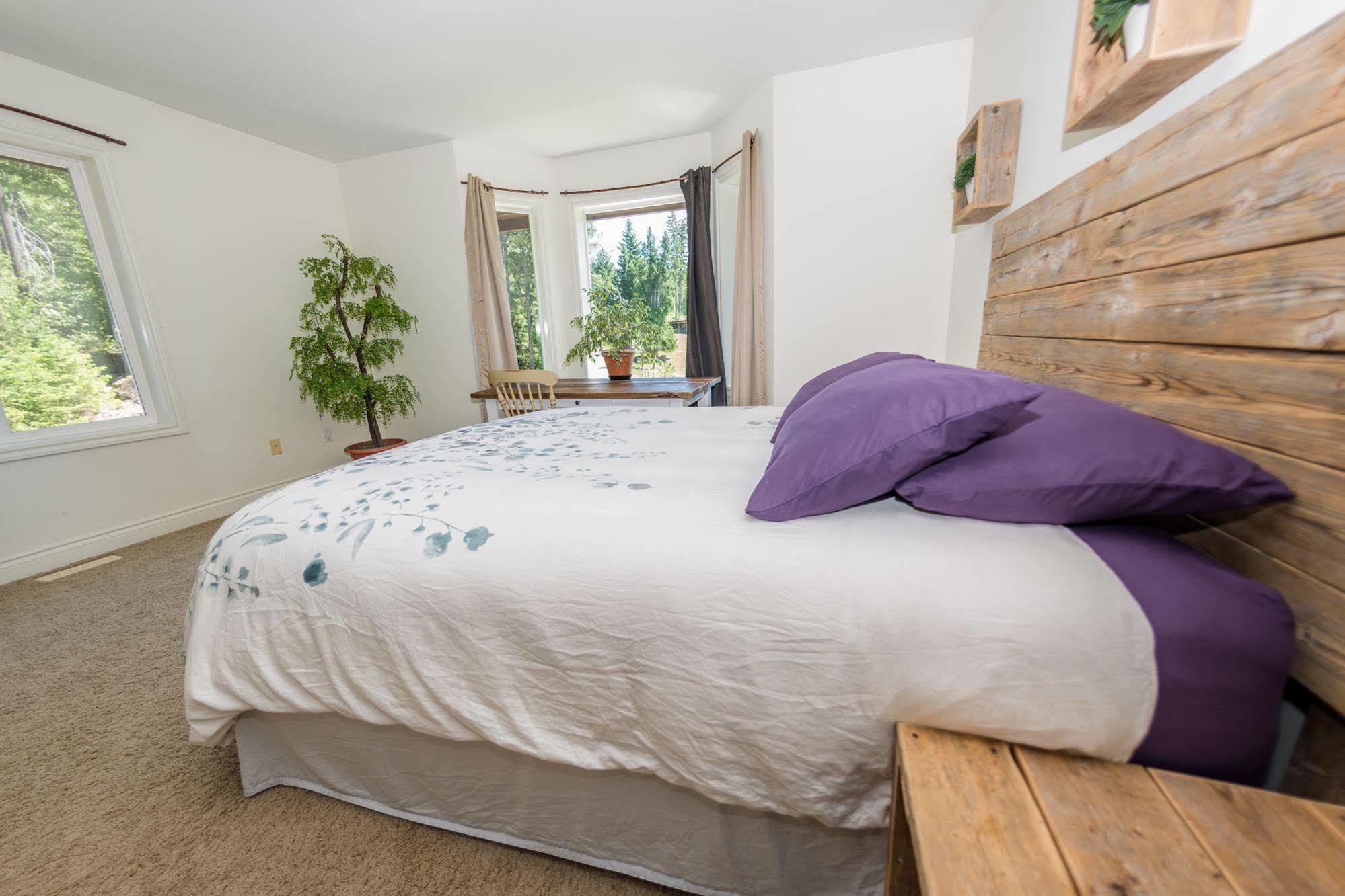 Sweetwater Lane Farm Villa Mount Currie Exteriör bild